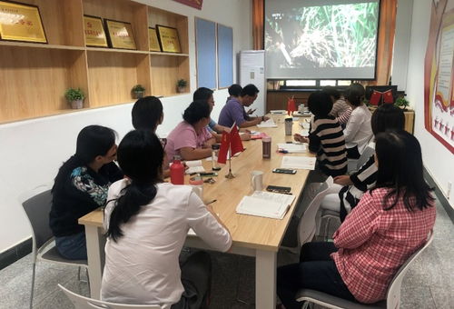 信息技術(shù)咨詢服務(wù)助力黨建學(xué)習(xí)——圖書館信息技術(shù)部黨支部慶祝新中國(guó)成立70周年主題黨日活動(dòng)紀(jì)實(shí)